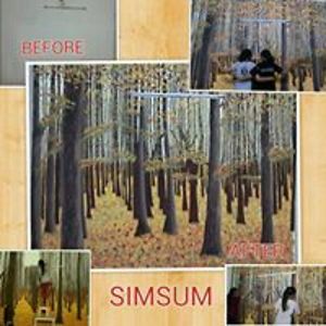 Simsum_Arts