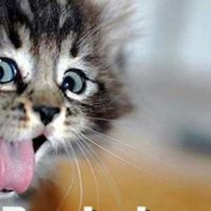 anitaschilder avatar