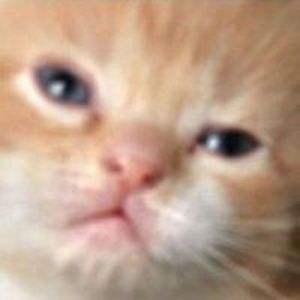 blackboxpcservices avatar