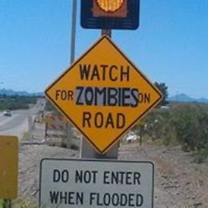 brianandrobyn avatar