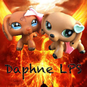 daphnelps avatar
