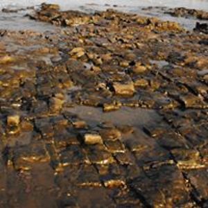 journeyhollis1 avatar