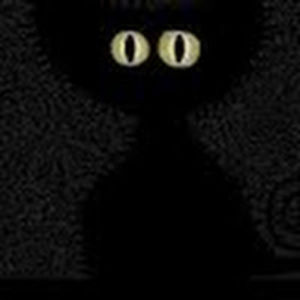 mindaugastrumpaitis avatar