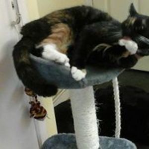 ann_sutherland avatar