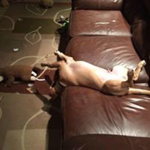 sallykweatherhead avatar