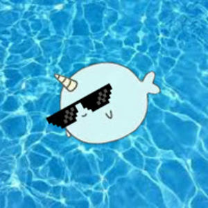gangstanarwhalz avatar