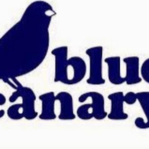 bluecanary avatar