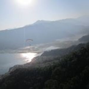 edeboer_limor avatar