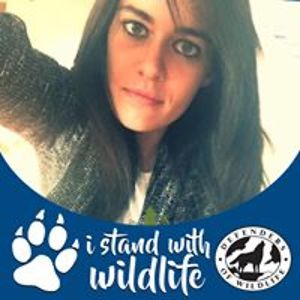 travelbug2497 avatar