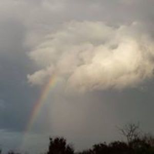 dmgconstruction avatar