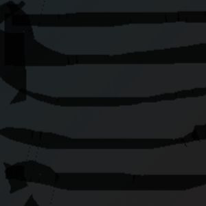 mikoajjerukrasucki avatar