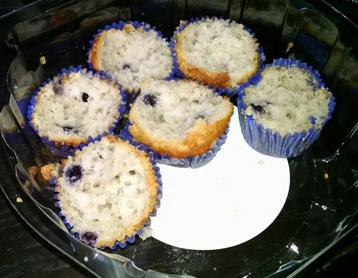 Blueberry muffins in a plastic container, showcasing the humor in married life through shared treats.