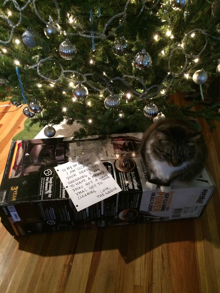 My Husband Told Me There Was An Early Xmas Present Under The Tree. This Is Pretty Perfect