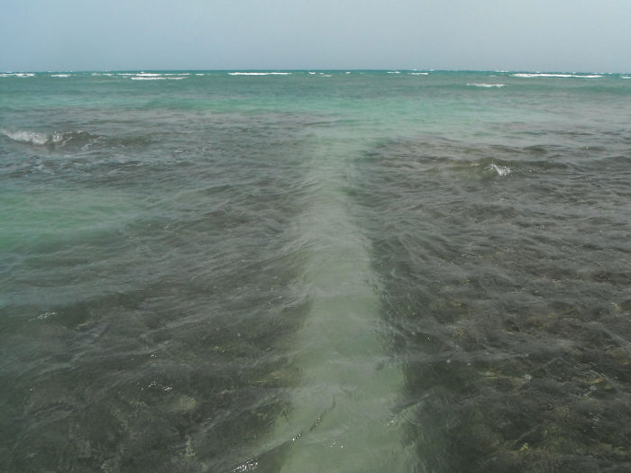 Fishermen And Tourists Made This Underwater Path In Guánica, Puerto Rico