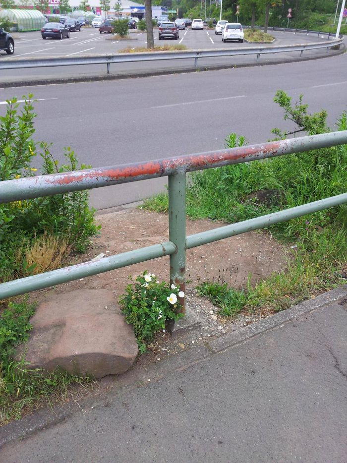 Path Created By People With Stepping Stone And Worn Railing