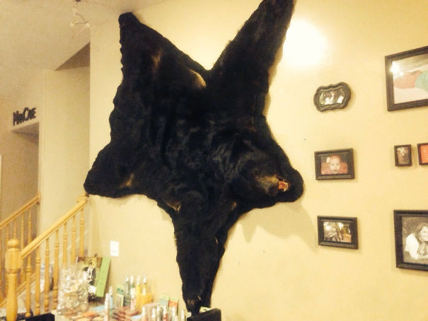 First My Wife Said The Walls Were Too Bare, And Now They Are Too Bear