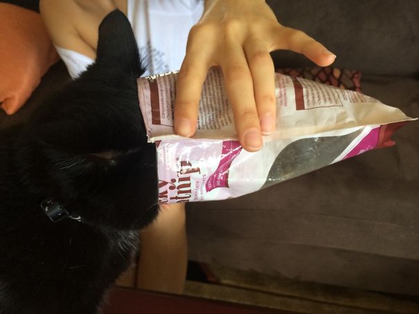 She Just Sticks Her Head In And Breathes. Same Bag Of Catnip For Four Years