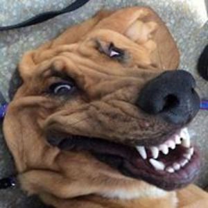 michaeljolson_edd avatar