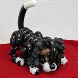 martin_lemire69 avatar