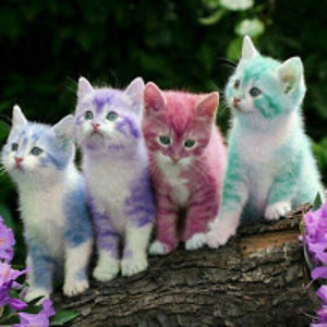 abhishangisingh avatar