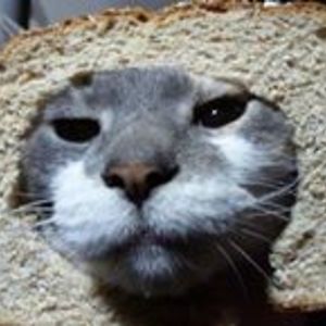 harry_kokolakis avatar