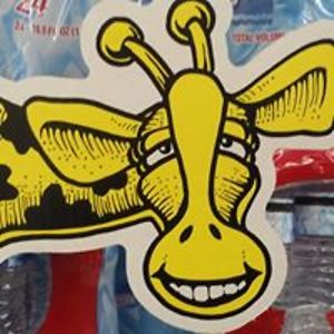 theandieperson avatar