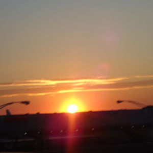 shekinahealey avatar