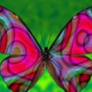 linzipruitt79 avatar