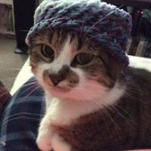 glittercandies avatar