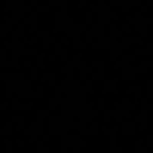 king_paramount_the_first avatar