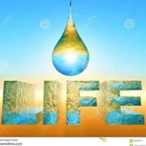 susan_mackenzie avatar