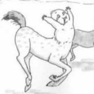 carsonst_noneyadam avatar