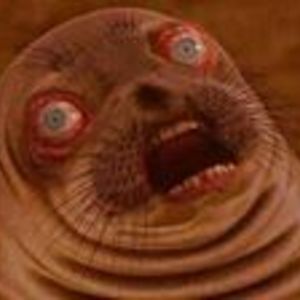 myemailwontwork avatar