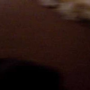 badgerbadgerbadger avatar