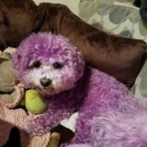 andrea_bondurant avatar