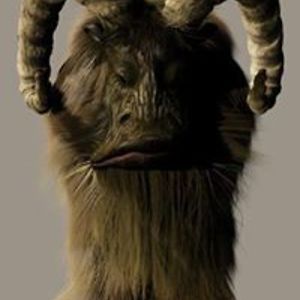 losoweliterki avatar