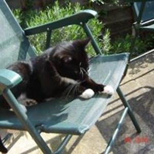 diana_ilenkiw avatar