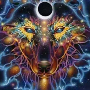 heatherwolf73 avatar