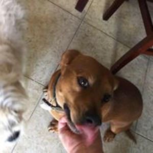 foreverwestlake avatar