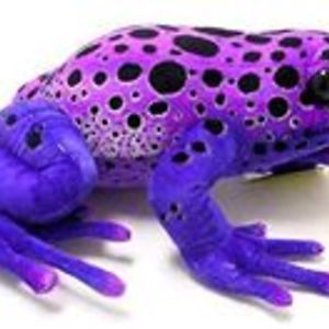 grooverjamesr avatar