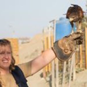 evelinecollins avatar