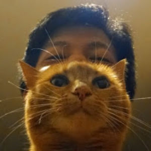 defenestratus avatar