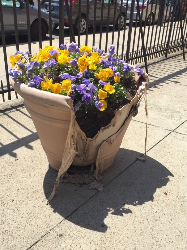The Shadow Of This Melted Planter Looks Like The Death Star Under Construction