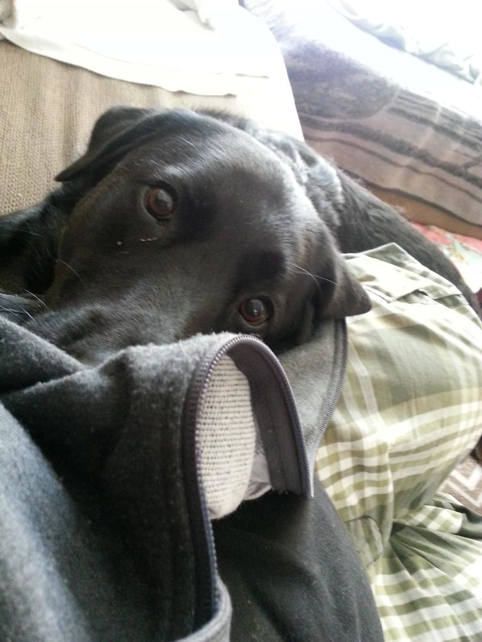 After Not Seeing My Dog For 6 Months, She Stayed Like This For Almost 5 Min Straight