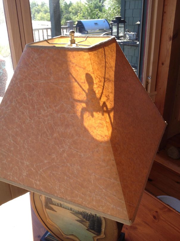 The Sun Created A Scary-Looking Shadow On My Lamp Shade