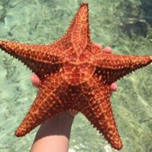 noelle_van_eynde avatar