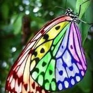 cindy_ricardo avatar