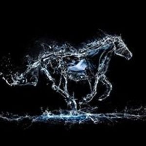 kathythehorse avatar