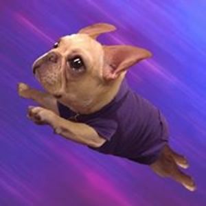 lukas_thompson avatar