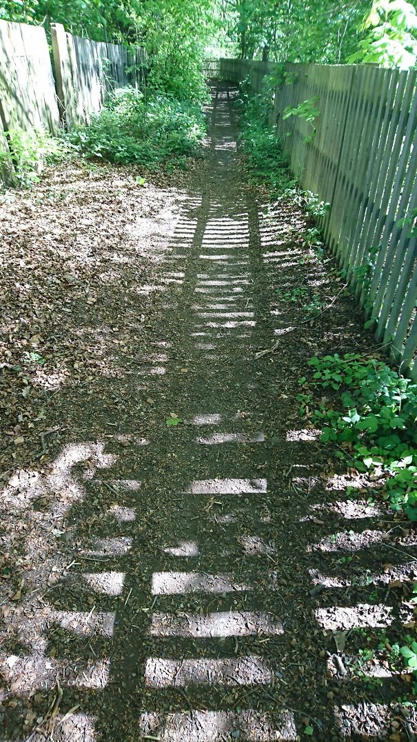 The Shadow Of This Fence Makes It Look Like I'm Walking Along A Train Track